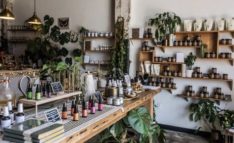 Herbal Business, Apothecary Ideas, Witchy Shop, Holistic Business, Herbal Shop, Herbal Store, Herbal Tonic, Spa Room Decor, Herb Shop