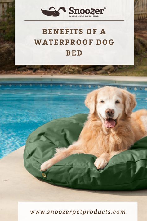 Durable Dog Bed, Waterproof Dog Bed, Outdoor Dog Bed, Washable Dog Bed, Outdoor Beds, Water Bed, Dog Odor, Pet Advice, Dog People