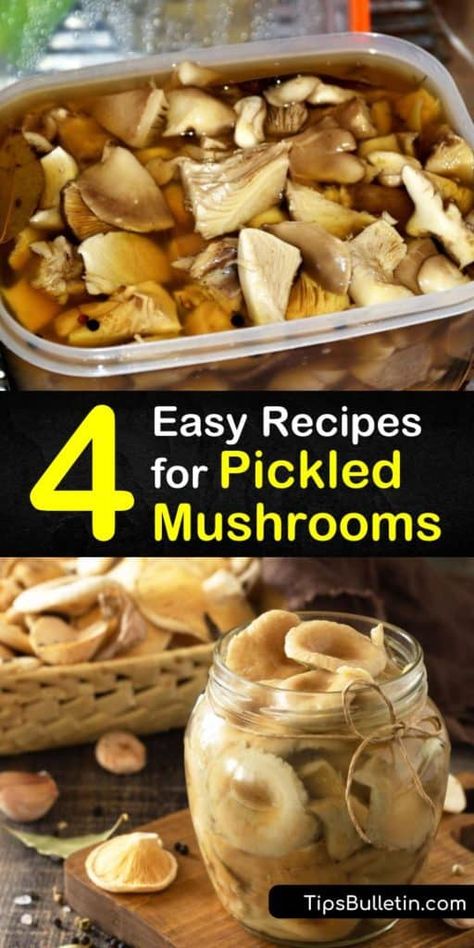 4 Easy Recipes for Pickled Mushrooms Pickled Mushrooms Recipe, Marinated Mushrooms Recipe, Cooked Mushrooms, Mushroom Marinade, Pickled Mushrooms, Pickled Green Beans, Canned Mushrooms, Marinated Mushrooms, Stuffed Portabella Mushrooms