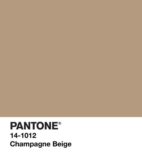 Pantone Swatch, Brown Pantone, Colour Names, Color Of The Year 2022, Pantone Color Chart, Pantone Swatches, Pantone Colour Palettes, Hex Color Palette, Block Color