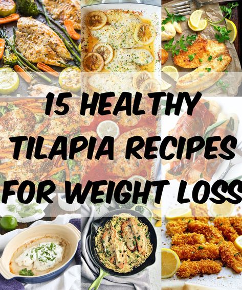 Low Calorie Tilapia Meals, Easy Healthy Meals Fish, Talipia Recipes Healthy Dinners, Heart Healthy Tilapia Recipes, Fish And Chicken Diet Clean Eating, Tilapia Recipes Low Calorie, Tilapia Pesto Recipes, Tilapia Lunch Ideas, Healthy Tilapia Dinner