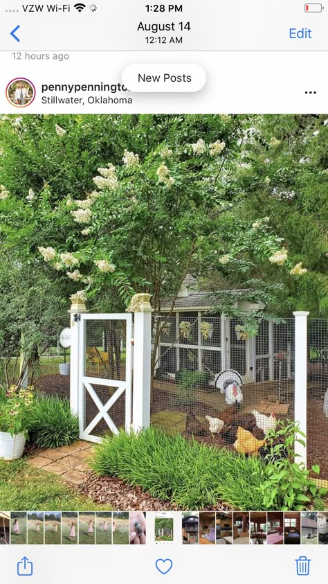 Fenced In Garden And Chicken Coop, How To Hang Chicken Feeders, Chicken Coop Porch Ideas, Small Garden With Chicken Coop, Cottage Style Chicken Coop, Small Backyard Farm Ideas, Beautiful Chicken Coop Ideas, Chicken Coop Flower Bed, Chicken Coop With Fence