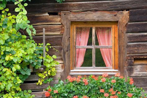 Picnic Vibes, Cottage Aesthetic, Random Aesthetic, Cottage In The Woods, Cottagecore Aesthetic, + Core + Aesthetic, Stardew Valley, Cozy Cottage, Cottage Core