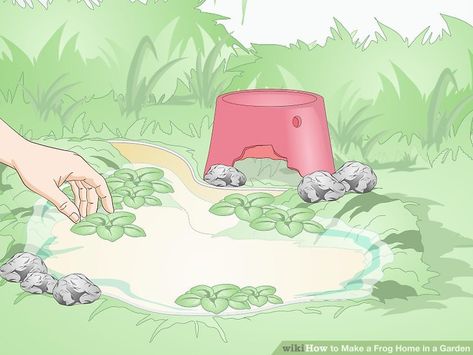 How to Make a Frog Home in a Garden: 12 Steps (with Pictures) Bat House Diy, How To Attract Bats, Attract Bats, Bat House Plans, Bat Boxes, House In The Garden, Frog Habitat, Bat Box, Toad House