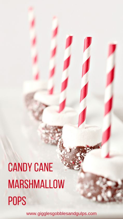 Candy Cane Marshmallow Pops - Giggles, Gobbles and Gulps Hot Cocoa Dip, Cocoa Dip, Marshmallow Pops Recipe, Decorated Marshmallows, Dipped Marshmallows, Marshmallow Dip, Peppermint Hot Cocoa, Peppermint Marshmallows, Chocolate Covered Marshmallows