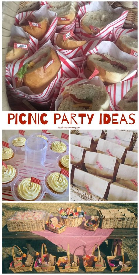 Picnic Party Ideas, simple and easy to tote around ideas! Picnic Theme Birthday, Graduation Picnic, Picnic Party Food, Picnic Themed Parties, Picnic Party Ideas, Church Picnic, Indoor Picnic, Picnic Birthday Party, Kids Picnic