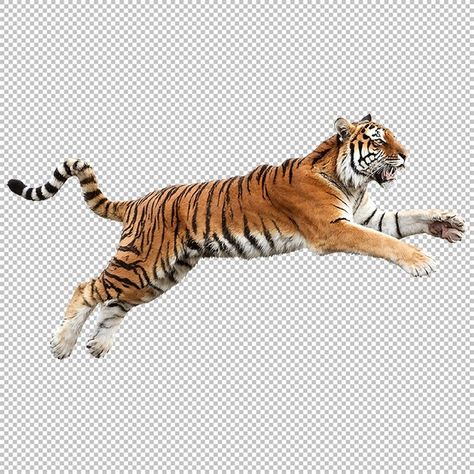 Tiger Png, Tiger Images, Max On, April 19, Image Hd, Png Image, Png Images, On Instagram, Quick Saves