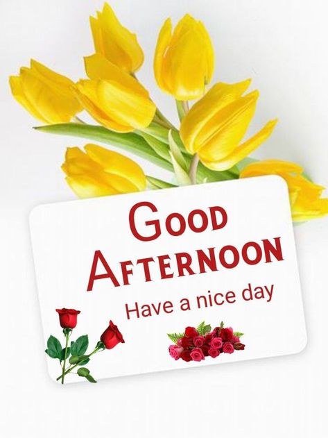 Gud Afternoon Images, Happy Sunday Messages, Gud Afternoon, Afternoon Greetings, Afternoon Messages, Afternoon Wishes, Good Afternoon Images, Afternoon Images, Free Happy Birthday Cards