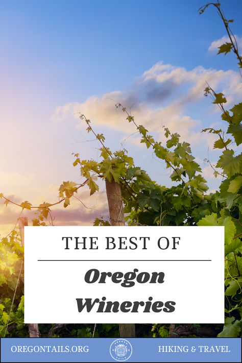 Scenic view of an Oregon winery with rows of grapevines and a picturesque tasting room set against rolling hills. Oregon Adventures, Oregon Wineries, Explore Oregon, Stunning Landscapes, Wine Enthusiast, The Pacific Northwest, Tasting Room, The Pacific, Wine Lovers