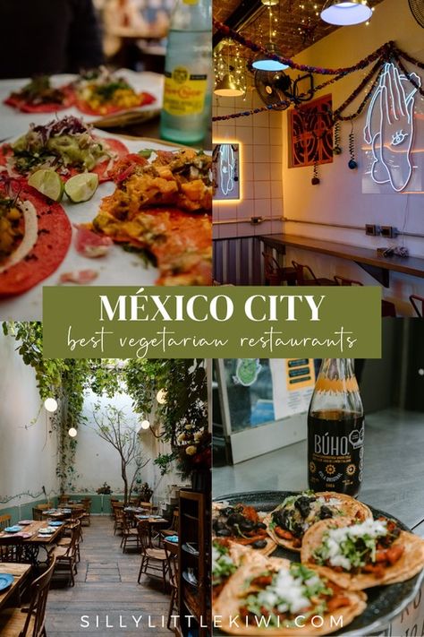 The 28 Best Vegetarian Restaurants in Mexico City — silly.little.kiwi Mexico City Food, Soy Chorizo, Mexico Bucket List, Chili Relleno, Mexico Itinerary, Mexico City Travel, Zucchini Flowers, Things To Do In Mexico, Vegan Tacos