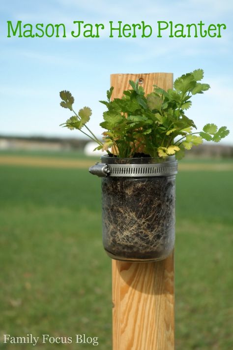 Mason Jar Herb Planter Mason Jar Gifts For Christmas, Jar Gifts For Christmas, Jar Herb Garden, Cheap Candle Holders, Mason Jar Herbs, Cooking With Fresh Herbs, Mason Jar Herb Garden, Mason Jar Planter, Yard Crafts