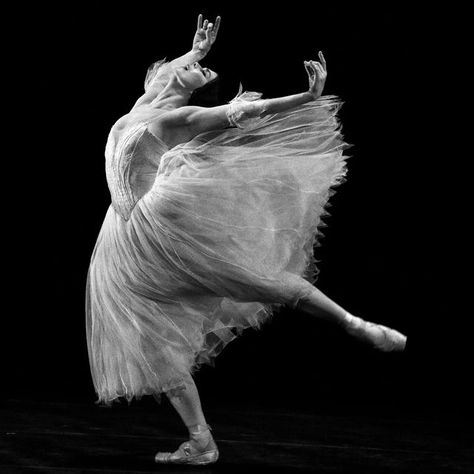 Natalia Osipova on Instagram: "NYC Thank You 📸: @j_cervantes thank you for this incredible photo" Ballet Posters, Ballet Beauty, Ballet Inspiration, Dance Like No One Is Watching, Ballet Art, Ballet Photos, Royal Ballet, Ballet Beautiful, Tiny Dancer