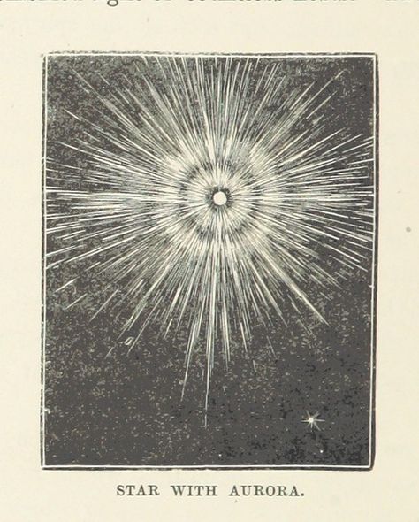 British Library digitised image from page 186 of "The Half… | Flickr Astronomy Art, Star Illustration, Space Illustration, Library Catalog, The British Library, Celestial Art, Travel Nature, British Library, Book Images