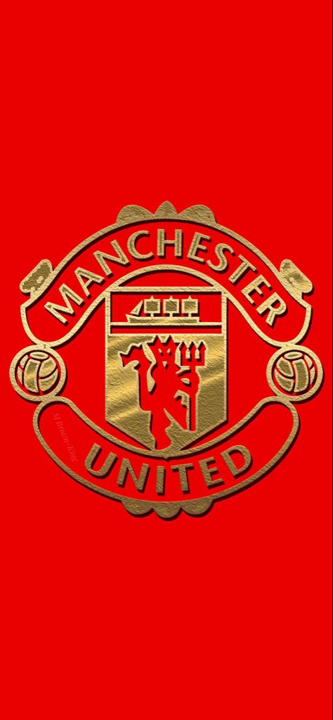 Fifa World Cup Teams, Manchester United Art, Manchester United Images, Manchester United Logo, United Wallpaper, Manchester United Team, World Cup Teams, Bird Logo Design, Manchester United Wallpaper