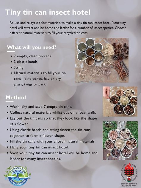 Brecon Beacons National Park Authority on Twitter: "Tiny tin can insect hotel Re-use and re-cycle a few materials to make a tiny tin can insect hotel. Your tiny hotel will attract and be home and larder for a number of insect species. Choose different natural materials to fill your recycled tin cans. #WalesOutdoorLearningWeek https://t.co/mM5DkzDKJi" / Twitter Tin Can Bug Hotel, Diy Insect Hotel, Bug Hotel Diy Kids, Bug Hotel Ideas, Wildlife Projects, Outdoor Classroom Activities, Bee Hotels, Recycled Tin Cans, Insect Species