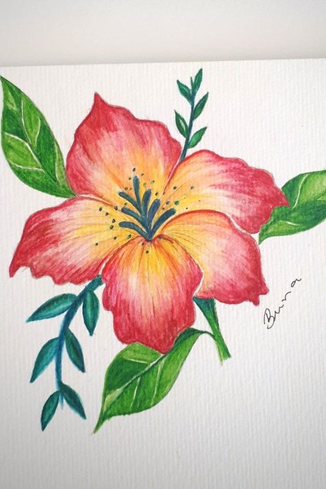 Color Pencil Art Flowers Simple, Easy Flower Drawings Color, Simple Flower Drawing Colour, Flower Art Pencil, Flower Pencil Drawings Easy, Colour Pencil Flower Art, Color Pencil Sketch Flowers, Colouring Pencil Art Easy, Drawings With Colored Pencils Easy