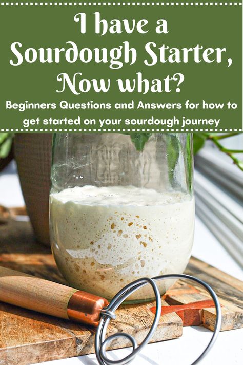 I Have a Sourdough Starter, Now What? - Simple is Gourmet Sourdough With Starter Recipe, How To Cook With Sourdough Starter, Bread Recipe Using Sourdough Starter, Making Bread From Sourdough Starter, Sour Dough Starter Bread Recipe, I Have A Sourdough Starter Now What, Steps To Making Sourdough Bread, Easy Beginner Sourdough Bread, Sourdough Bread Using Starter