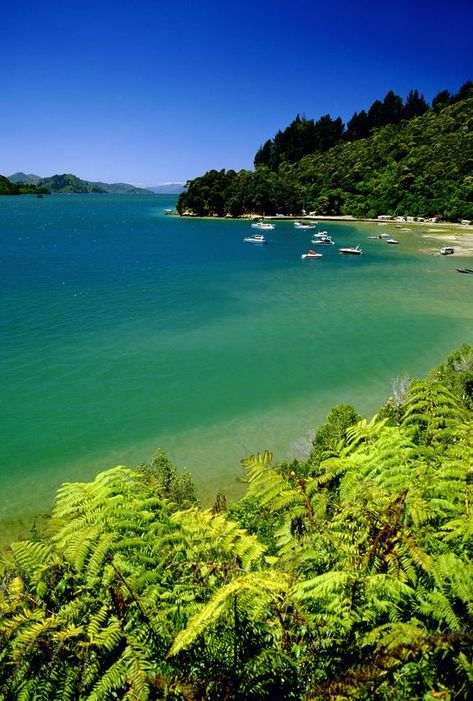 Marlborough Sounds New Zealand, Nz Landscape, Marlborough New Zealand, Marlborough Sounds, New Zealand Landscape, Holiday Trip, Chapter 16, New Zealand Travel, South Island