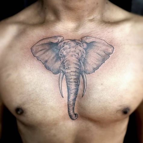 Elephant Chest Tattoo, Indian Elephant Tattoo, Realistic Elephant Tattoo, Tattoos That Mean Something, Elephant Head Tattoo, Simple Elephant Tattoo, Geometric Elephant Tattoo, Elephant Thigh Tattoo, Elephant Skull