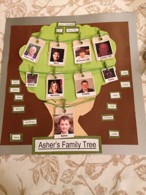 Diy Family Tree Project For School, Family Collage Ideas For School, Family Tree Book Ideas, Creative Family Tree Ideas For School, Family Tree Ideas For Kids School, Family Tree Ideas For School Project, Family Tree Project For School, Diy Family Tree Project, Family Tree Ideas