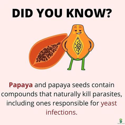 Who's tried Papaya?!
Papaya enzyme has long been used as a digestive
enzyme to help break down the food you eat, but it
actually does even more than that!
The papaya fruit and its seeds contain an enzyme
called papain. Research indicates this enzyme and
other compounds in papaya can kill a variety of
intestinal parasites and therefore may aid in digestive
and overall health. Papaya Enzyme Benefits, Seeds Benefits, Intestinal Parasites, Papaya Seeds, Papaya Fruit, Healthy Plate, Papaya Enzyme, Papaya Fruits, Digestive Enzymes