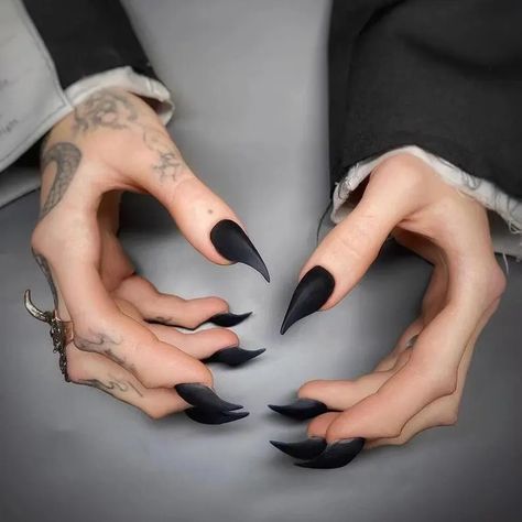 🦅 3D Black Eagle Claw with Armor featuring fierce dragon and fox claw designs! Perfect for adding a bold, animalistic touch to your look. These unique press-on nails are great for cosplay or Halloween. 💅✨

#EagleClawNails 🦅 #DragonClaw 🐉 #FoxClaw 🦊 #ArmorNails 🖤 #HalloweenNails 🎃 Eagle Claw Nails, Raptor Claw Nails, Short Claw Nails, Claw Aesthetic, Nails Dragon, Claw Nails Designs, Claws Nails, Dinosaur Claw, Fierce Dragon