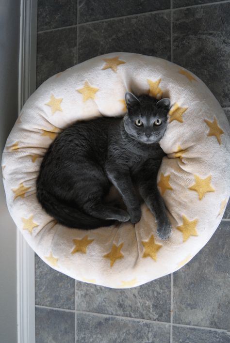 Cat Bed Ideas, Cat Bed Pattern, Diy Cat Bed, Diy Pet Bed, Fluffy Bedding, Cat Purr, Dress Patterns Free, Dog Beds For Small Dogs, Free Sewing Pattern