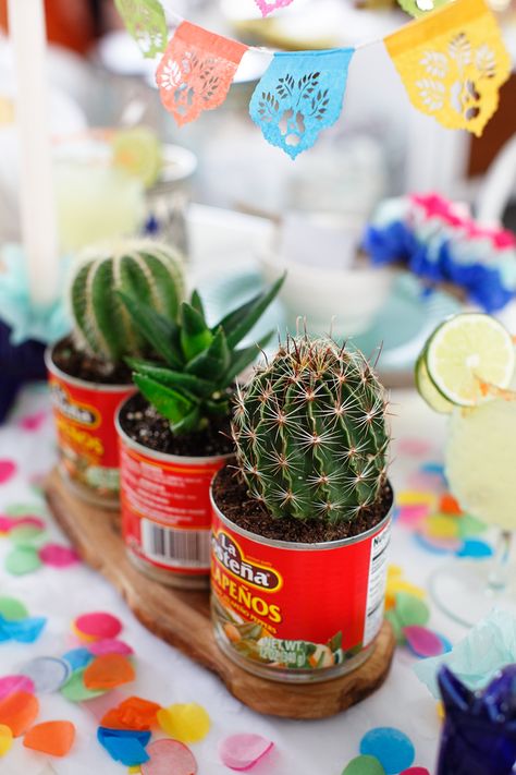 Cinco De Mayo Party Ideas, Mexican Dinner Party, Succulent Centerpiece, Planting Plants, Mexican Birthday Parties, Mexican Fiesta Party, Fiesta Birthday Party, Mexican Birthday, Fiesta Theme Party