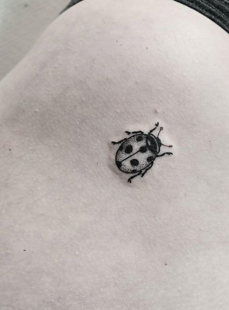 Black And Gray Ladybug Tattoo, Ladybug Tattoo Linework, Unique Ladybug Tattoo, Ladybug Line Tattoo, Simple Ladybug Tattoo Outline, Small Ladybug Tattoo Black And White, Ladybug Outline Tattoo, Ladybug Tattoo Behind Ear, Ladybug Tattoo Stencil