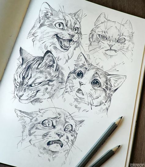 If there is one thing I enjoy drawing probably the most, is expressions on semi realistic animals. So here - have a bunch of cats making… Dog Face Drawing, Cat Face Drawing, Cat Expressions, Cat Drawing Tutorial, Drawing Tutorial Face, Cat Sketch, Drawing Faces, Drawing Expressions, Cat Eyes