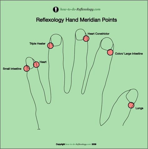 hand meridian points Reflexology Techniques, Meridian Points, Calendula Benefits, Hand Reflexology, Reflexology Chart, Sinus Relief, Coconut Health Benefits, Reflexology Massage, Foot Reflexology