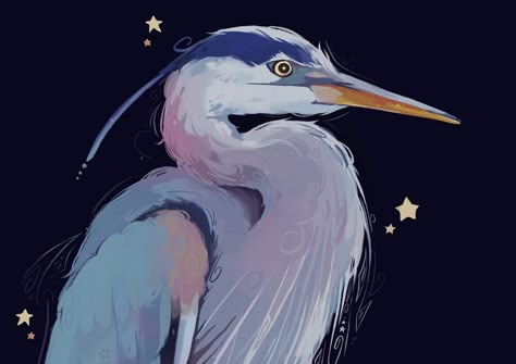 Heron :] . . . . . #doodle #sketch #drawing #digitalart #heron #bird birsart #theboyandtheheron #digitalillustration #cuteart #stars #starart Mama Bird Illustration, Star Reference Drawing, Bird Reference Drawing, Draw Birds Easy, Cute Star Drawing, Bird Pfp, Stork Drawing, Bird Art Drawing, Heron Drawing