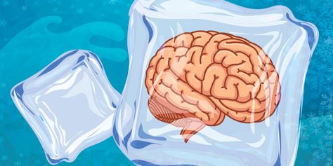 Despite its name, your brain does not really freeze during a brain freeze. Here's what's really happening to your brain when you get that sharp, searing pain. Biology Resources, Cold Foods, Brain Freeze, What Really Happened, Cold Meals, Your Brain, Biology, Chemistry, Brain