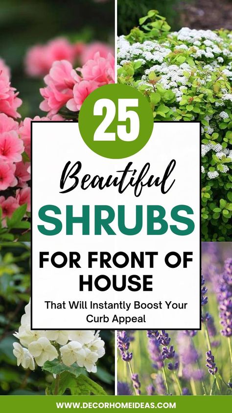 Elevate your curb appeal with 25 beautiful front of house bushes. Landscape Ideas In Front Of Bay Window, Front Yard Landscaping Year Round, Front Yard Landscaping Under Window, Bay Window Landscaping, Curb Appeal Plants, Shrubs In Front Of House, Front Pathway, Outdoor Shrubs, Landscape Ideas Front Yard Curb Appeal