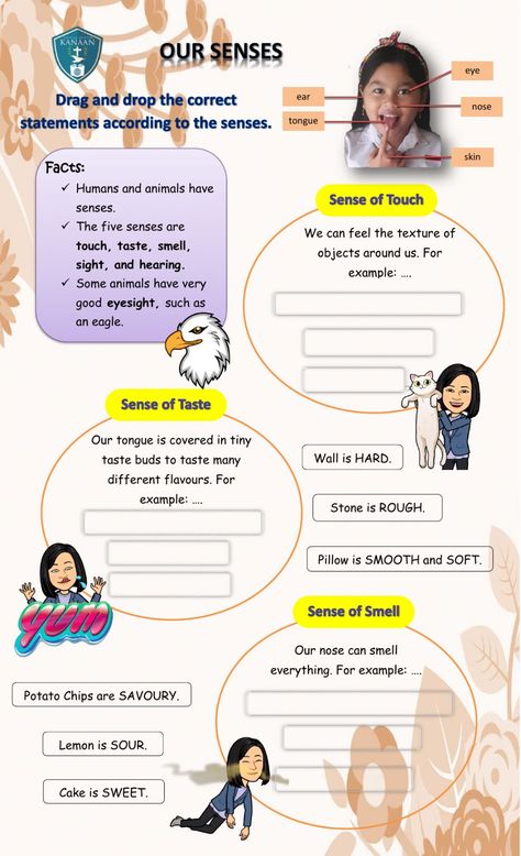 5 Senses Poem, Poem Worksheet, Sense Organs, Worksheets For Grade 3, Human And Animal, Skin Facts, Our Senses, Sense Of Touch, 5 Senses