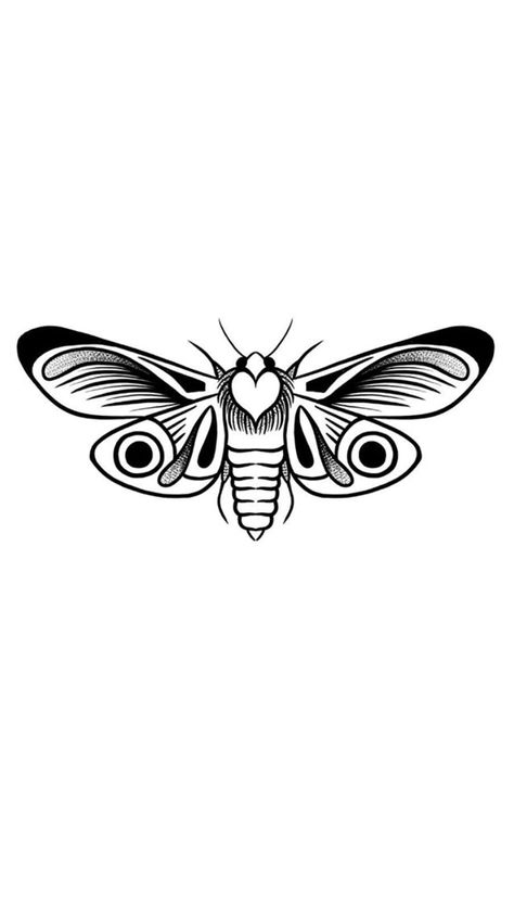 Moth Outline Drawing, Moth Tattoo Stencil, Traditional Moth Tattoo, Beginner Tattoos, Sweet Tattoos, Moth Tattoo, Tattoo Stencil Outline, Tattoo Portfolio, Tattoo Art Drawings