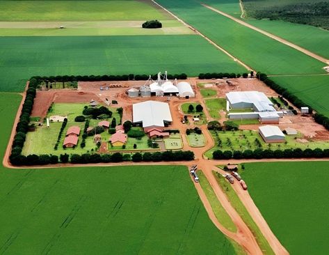 Farm Compound, Crops Farm, Dream Barn Stables, Aqua Farm, Luxury Farm, Commercial Landscape Design, Crop Farming, Farm Shed, Campus Design