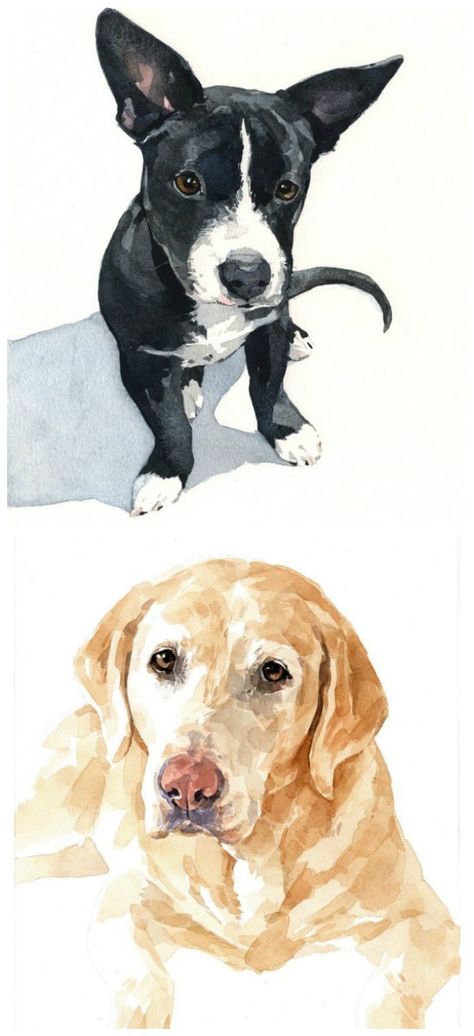 Painted Pet Portraits, Pet Portraits Illustration, Pet Watercolor, Pet Portrait Paintings, Portrait Artists, Dog Portraits Art, Dog Artist, Dog Watercolor, Custom Pet Art