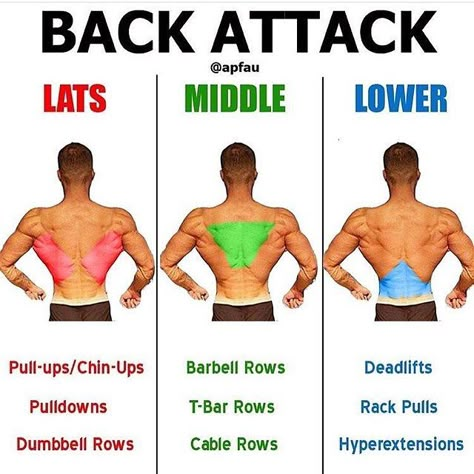 BACK ATTACK By @apfau - TAG A FRIEND THAT NEEDS TO START WORKING THEIR BACK - #fitness #alphalete #fitnesslifestyle #bulking… Gym Antrenmanları, Back Workouts, Gym Tips, Weight Training Workouts, Lower Back Pain, Back Muscles, Gym Workout Tips, Fitness Transformation, Back Exercises