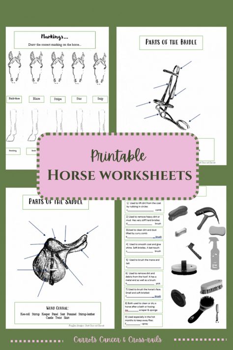 4h Horse Presentation Ideas, Horse Sewing Projects, Horse Camp Activities, Horse Worksheets, Horse Lifestyle, Camp Activities, Horse Info, Horse Camp, Rainy Day Fun