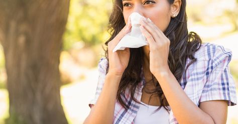 How can you tell the difference between a cold and allergies? Learn the symptoms of each and how to treat them. Yellow Mucus, Get Over A Cold, Cold Or Allergies, Dry Throat, Dry Cough, Allergy Asthma, Cold Symptoms, Nasal Spray, Allergy Symptoms