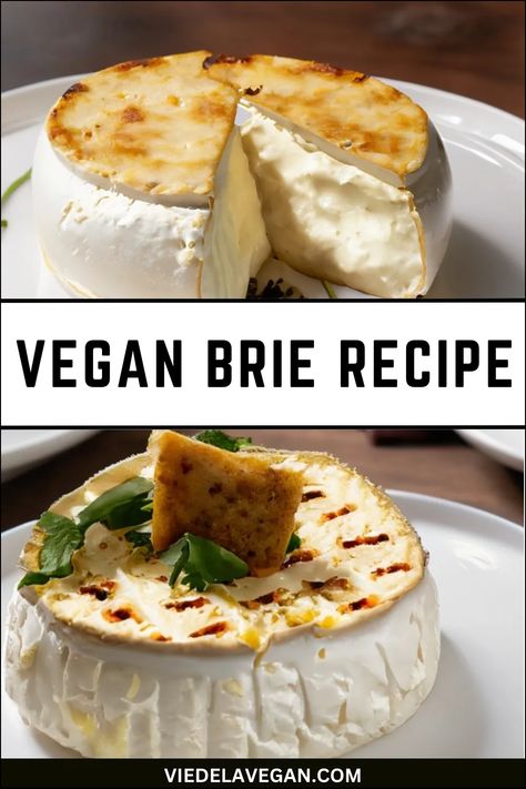 Vegan Brie Recipe - Dairy-Free Delicacy Vegan Brie, Vegan Cheese Recipe, Vegan Brie Cheese Recipe, Vegan Beer Cheese, Vegan Cheddar Cheese Recipe, Oil Free Vegan Cheese, Vegan Aged Cheese, Low Histamine Diet, Brie Recipes