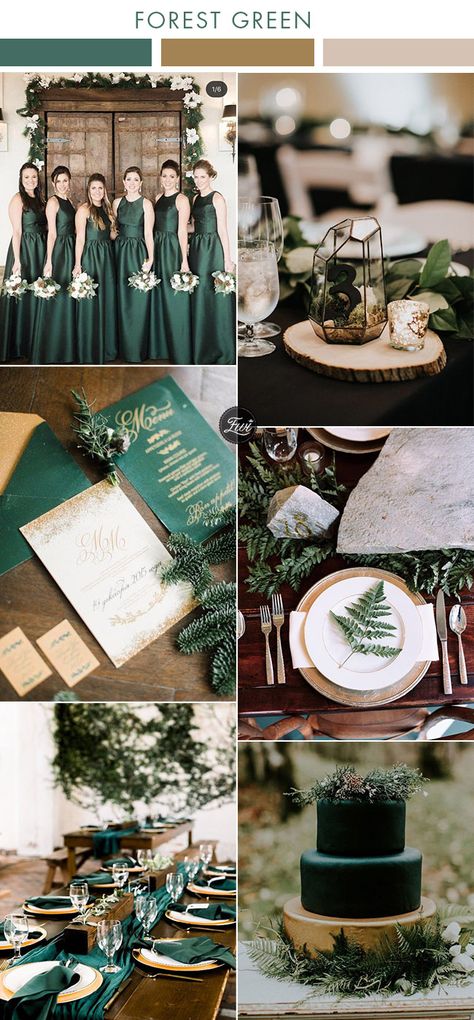 moody industrial geometric forest green and gold modern wedding colors Modern Wedding Colors, Forest Green And Gold, Emerald Wedding Colors, Green And Gold Wedding, Forest Green Wedding, Green Gold Weddings, Olive Green Weddings, Wedding Color Scheme, Wedding Color Palettes