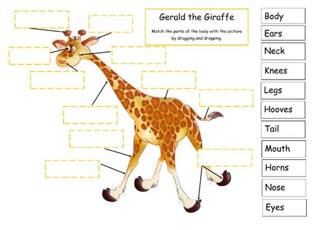 Gerald The Giraffe, Animal Worksheets, School Id, Secret Life Of Pets, The Giraffe, English As A Second Language (esl), English As A Second Language, School Subjects, Secret Life