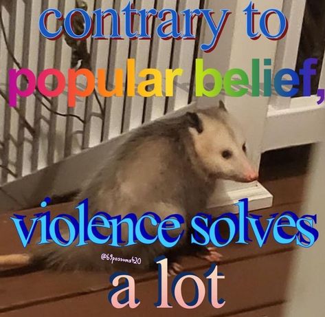 Possum Memes, Broken Humor, Funny Animal Jokes, Very Funny Pictures, Funny Reaction Pictures, Animal Jokes, Women Sleeve, Really Funny Pictures, Really Funny Memes