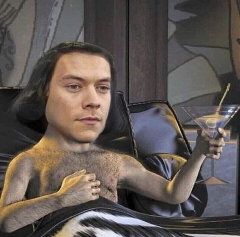 Harry Styles Funny, Harry Styles, Bed, Memes, Funny