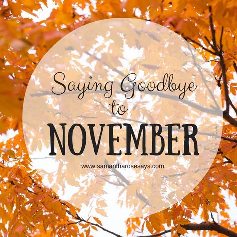 Samantha Rose Says: November 2016 | My Takeaway. Last Day Of November, November Images, November Quotes, Help Me Grow, National Holidays, Months In A Year, Last Day, Lifestyle Blog, Image Search