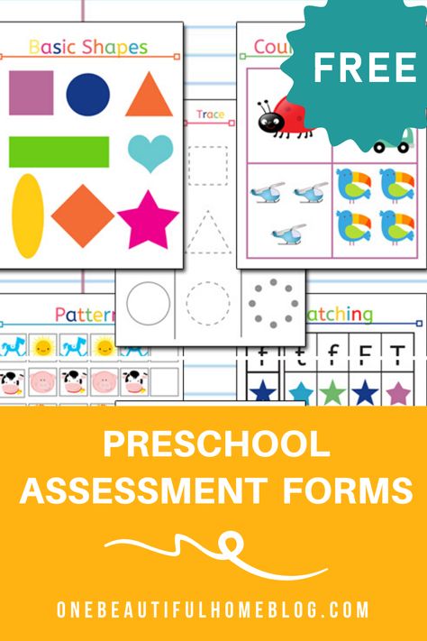 Pre K Assessment Forms Free, Preschool Assessment Forms, Preschool Portfolio, Kindergarten Assessment, Preschool Assessment, Homeschooling Preschool, Preschool Planning, Free Preschool Printables, Parenting Resources