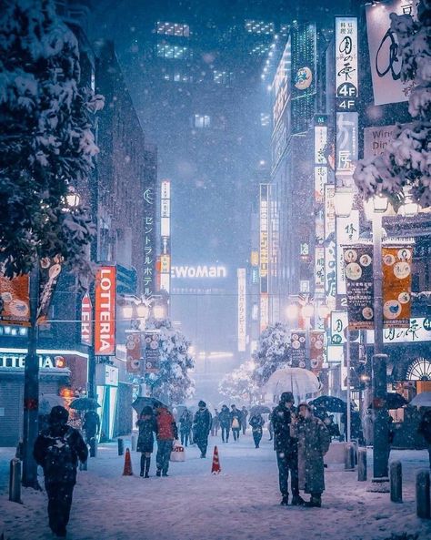 Snow In Japan, Tokyo Winter, Tokyo Aesthetic, Winter In Japan, Japan Winter, Tokyo Japan Travel, Japan Guide, Winter City, Tokyo City