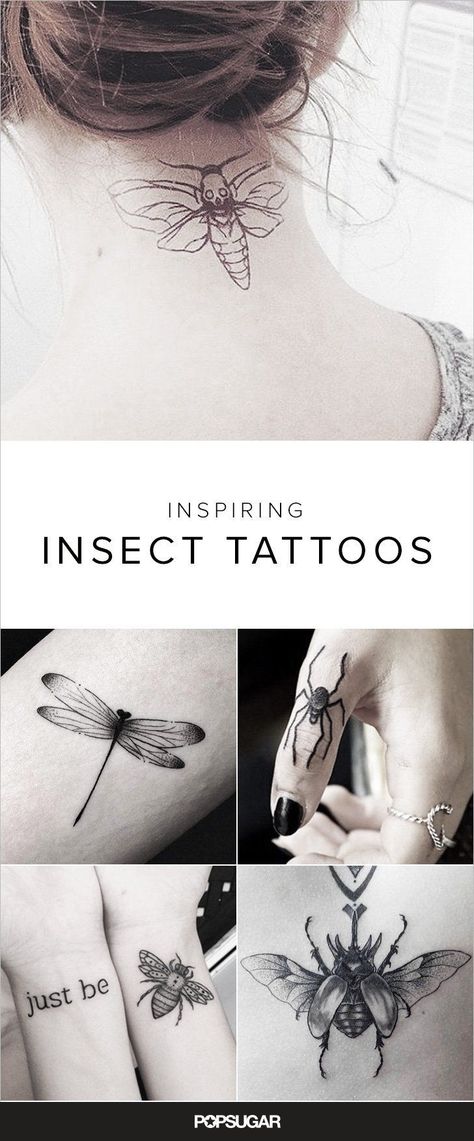 You'll Bug Out Over These Inspirational Insect Tattoos Inspirational Tattoo Ideas, Insect Tattoos, Miami Ink Tattoos, Inspirational Tattoo, Bug Tattoo, Insect Tattoo, Inspiration Tattoos, Spider Tattoo, Moth Tattoo